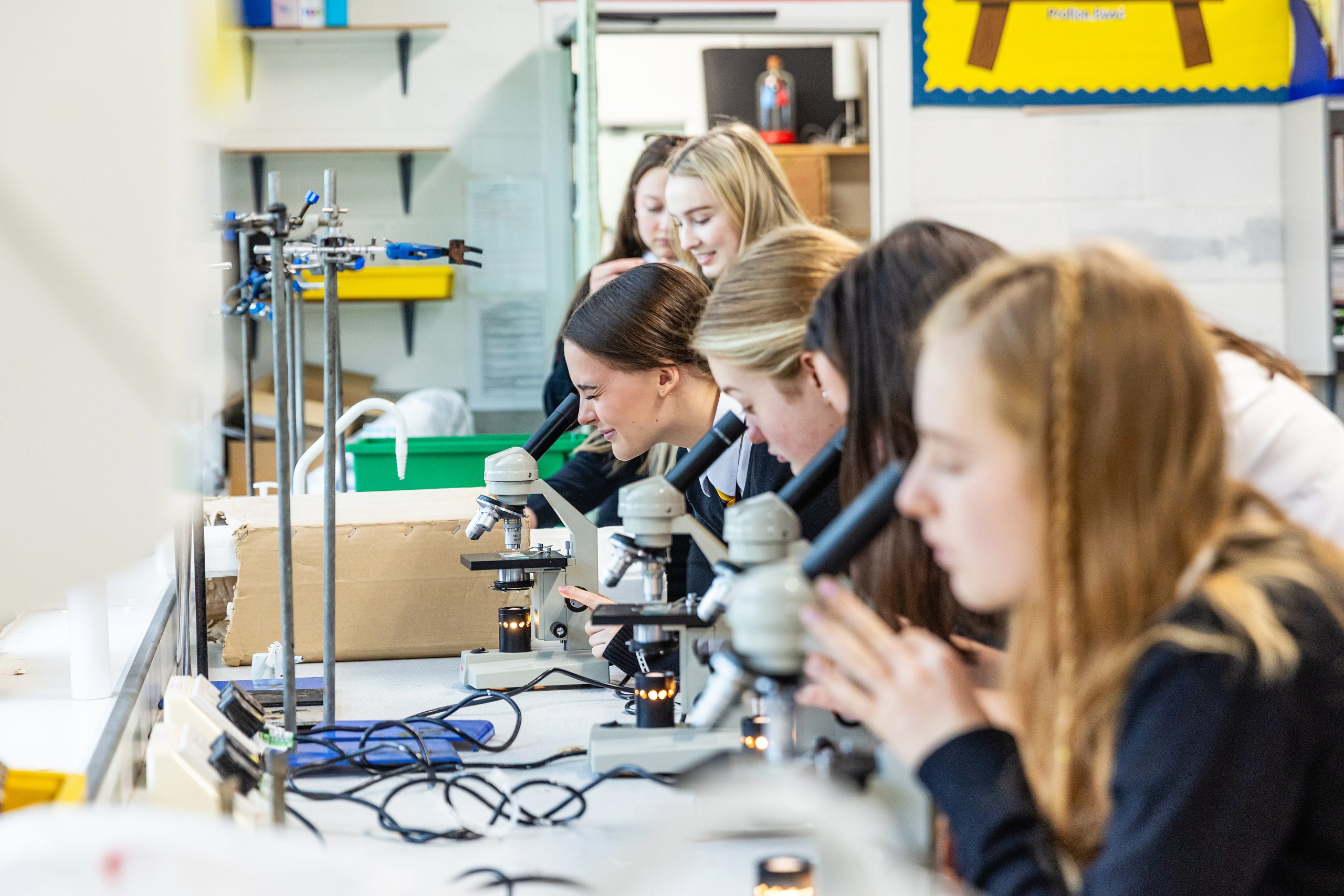 Students in a science laboratory using microscopes at a workbench during a practical lesson. Several pupils are closely examining samples while others observe and prepare equipment, with laboratory apparatus visible in the background.